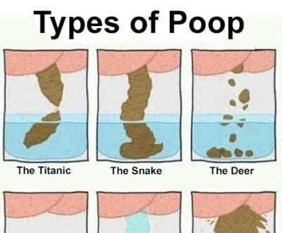 define scatology.